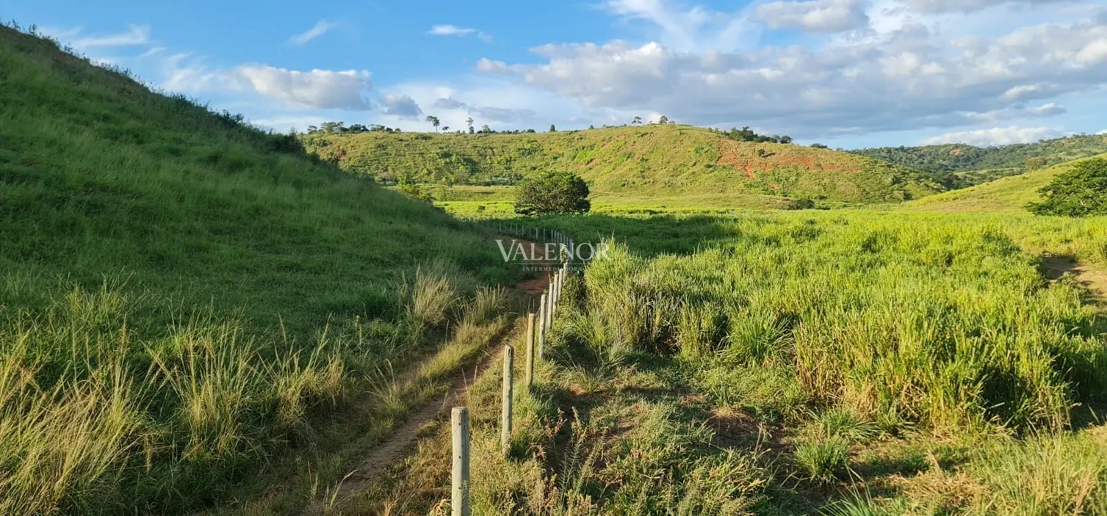 Fazenda, 186 hectares - Foto 28
