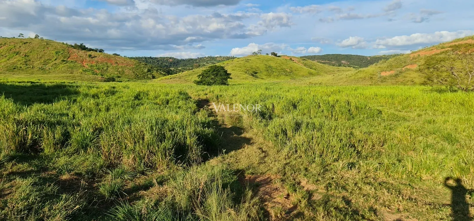 Fazenda, 186 hectares - Foto 9