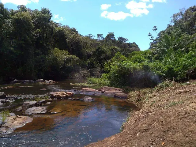 Fazenda com 180000m², à venda, no bairro Nossa Senhora da Vitória em Ilhéus