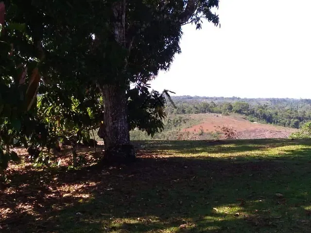 Fazenda com 180000m², à venda, no bairro Nossa Senhora da Vitória em Ilhéus