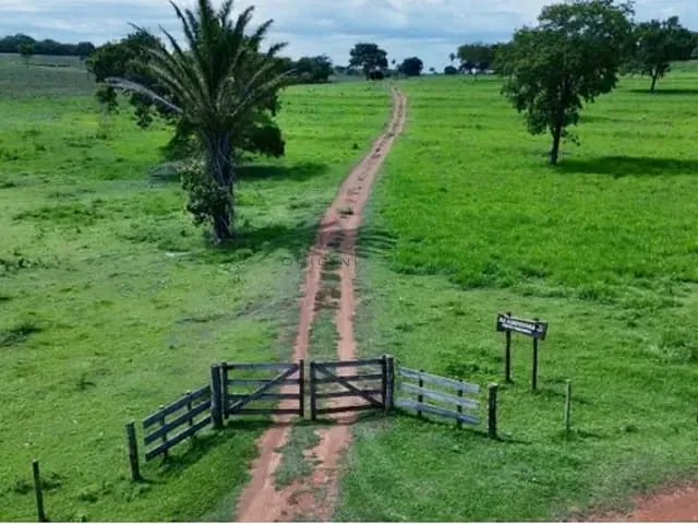 Fazenda com 600000m² 4 quartos e 4 banheiros, à venda, no bairro Área Rural de Campo Grande em Campo Grande