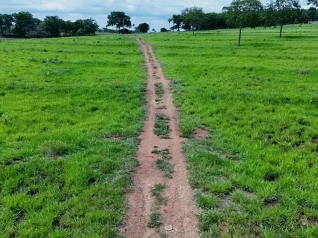 Fazenda com 600000m² 4 quartos e 4 banheiros, à venda, no bairro Área Rural de Campo Grande em Campo Grande