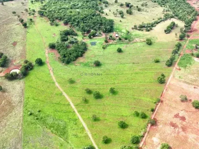 Fazenda com 600000m² 4 quartos e 4 banheiros, à venda, no bairro Área Rural de Campo Grande em Campo Grande