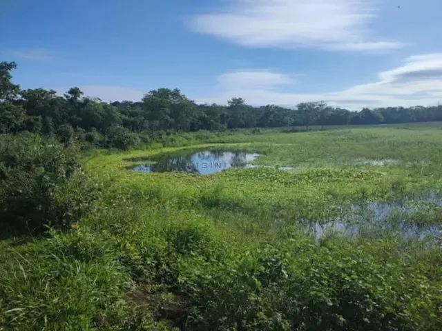 Fazenda com 600000m² 4 quartos e 4 banheiros, à venda, no bairro Área Rural de Campo Grande em Campo Grande