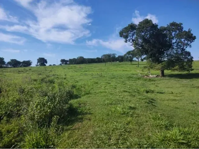 Fazenda com 600000m² 4 quartos e 4 banheiros, à venda, no bairro Área Rural de Campo Grande em Campo Grande