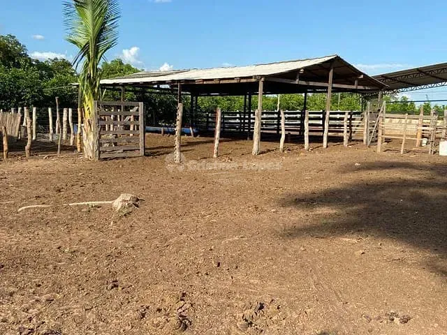 Fazenda com 104m² 2 quartos e 1 banheiro, à venda, no bairro Morro do Alecrim em Caxias