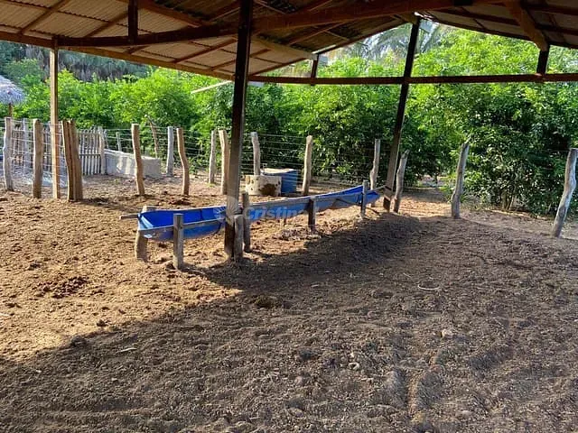 Fazenda com 104m² 2 quartos e 1 banheiro, à venda, no bairro Morro do Alecrim em Caxias