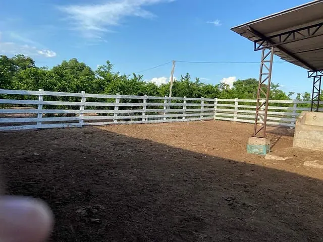Fazenda com 104m² 2 quartos e 1 banheiro, à venda, no bairro Morro do Alecrim em Caxias