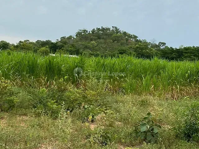 Fazenda com 104m² 2 quartos e 1 banheiro, à venda, no bairro Morro do Alecrim em Caxias