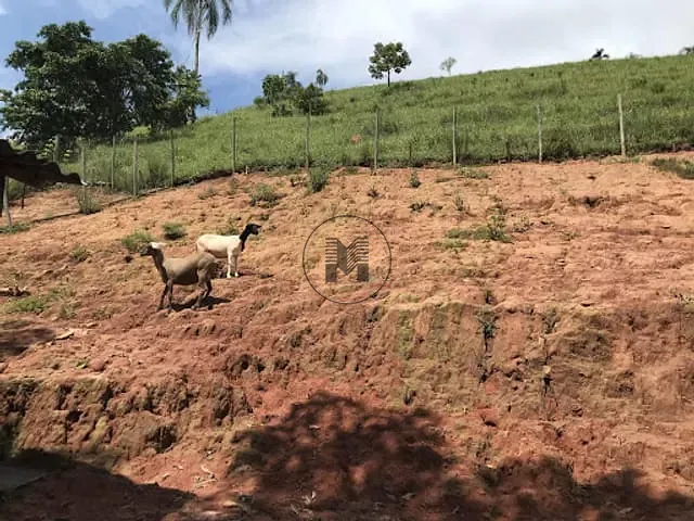 Fazenda com 508200m² 1 quarto e 1 banheiro, à venda, no bairro Paiol em Guaratinguetá