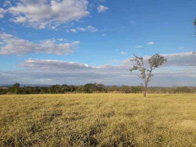 Fazenda com 150m² 2 quartos e 2 banheiros, para alugar, no bairro Zona Rural em Caçu