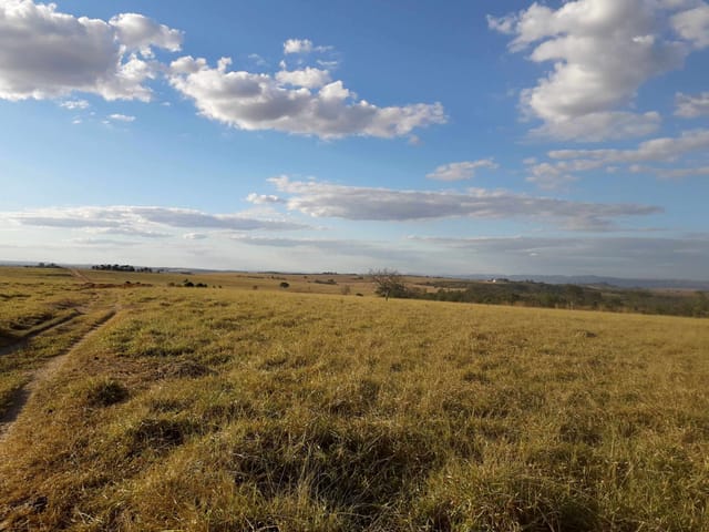 Fazenda com 150m² 2 quartos e 2 banheiros, para alugar, no bairro Zona Rural em Caçu