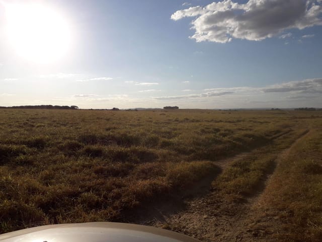 Fazenda com 150m² 2 quartos e 2 banheiros, para alugar, no bairro Zona Rural em Caçu