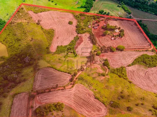 Fazenda com 962963m², à venda, no bairro Vila Rural em Ibiporã