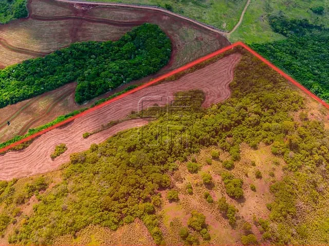 Fazenda com 962963m², à venda, no bairro Vila Rural em Ibiporã