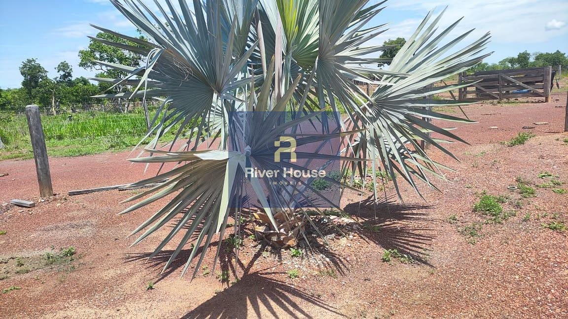 Fazenda à venda com 2 quartos, 10m² - Foto 5