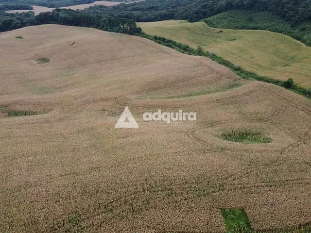 Fazenda com 750000m², à venda, no bairro Socavão em Socavão