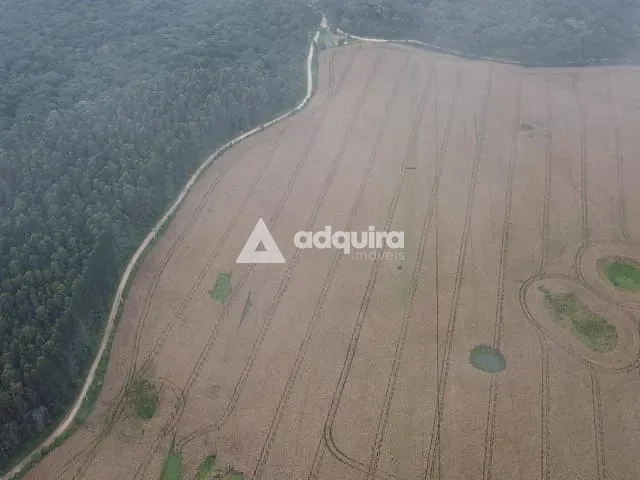 Fazenda com 750000m², à venda, no bairro Socavão em Socavão