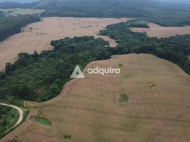 Fazenda com 750000m², à venda, no bairro Socavão em Socavão