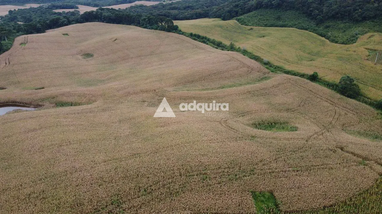 Fazenda, 75 hectares - Foto 2