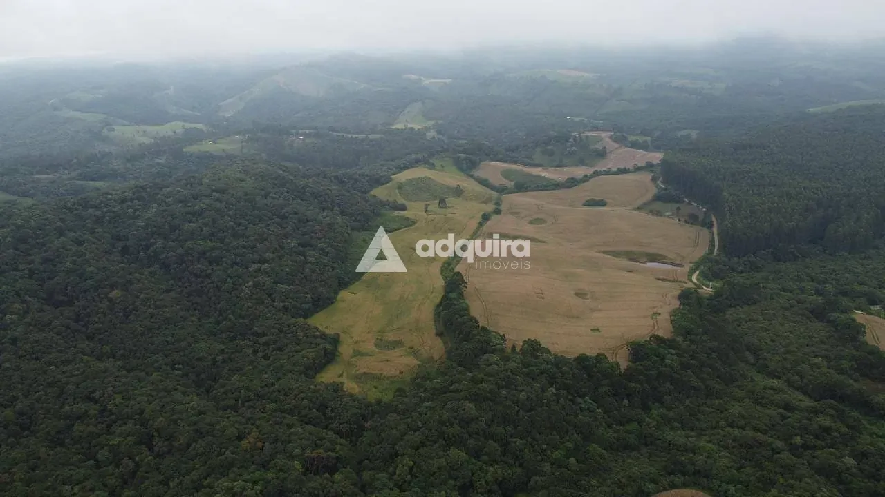 Fazenda, 75 hectares - Foto 4
