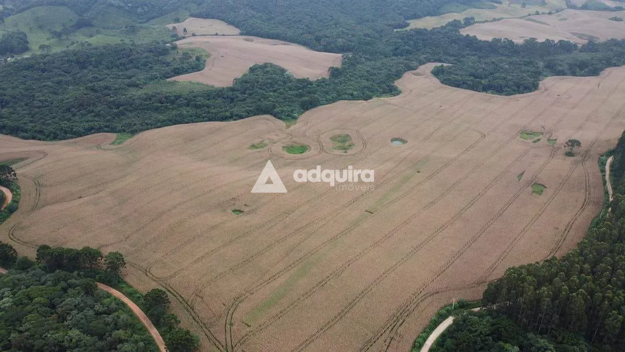 Fazenda, 75 hectares - Foto 3