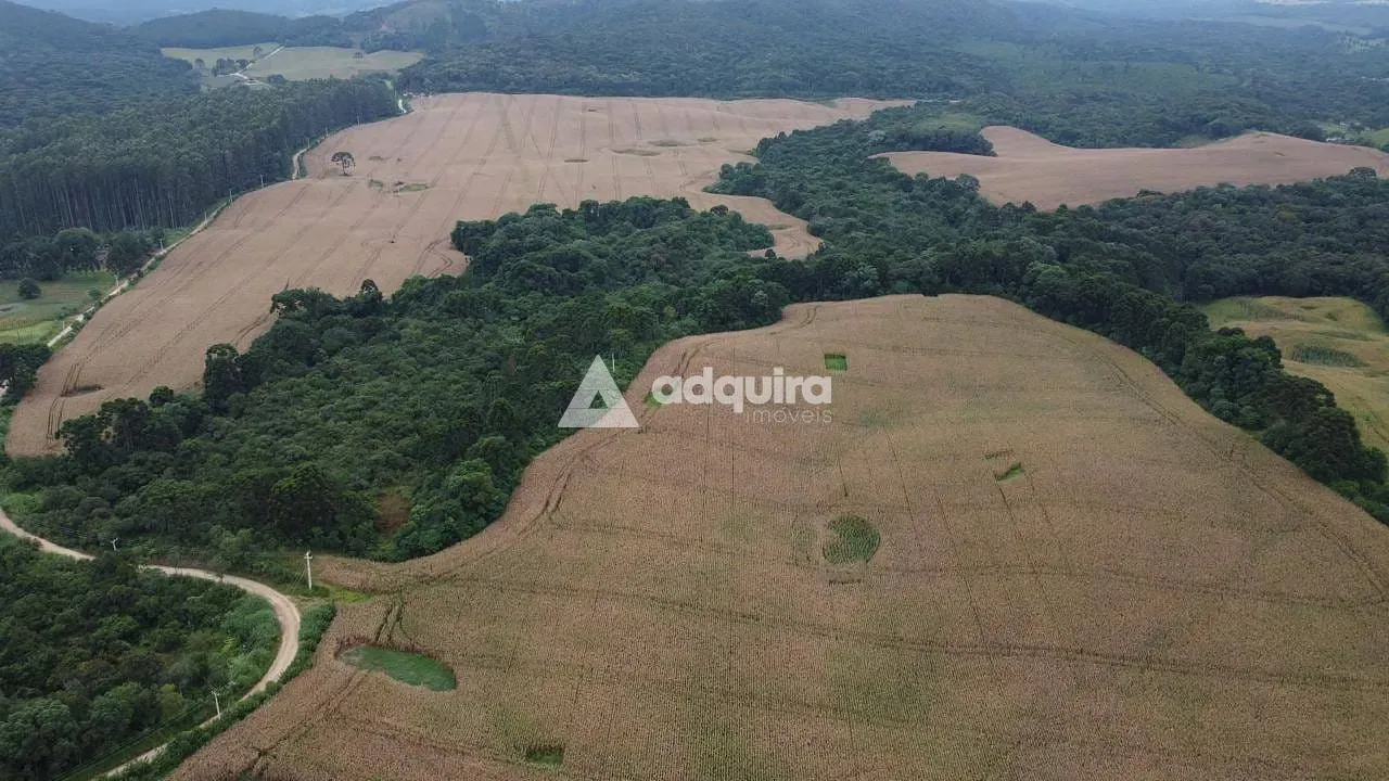 Fazenda, 75 hectares - Foto 1