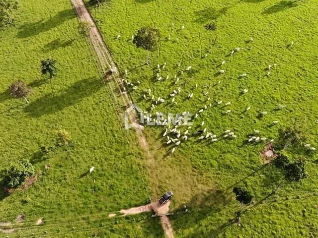 Rancho com 27000000m², à venda, no bairro Centro Norte em Cuiabá