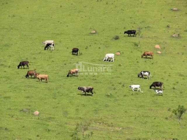 Fazenda com 508000m², à venda, no bairro Centro em Biritiba Mirim