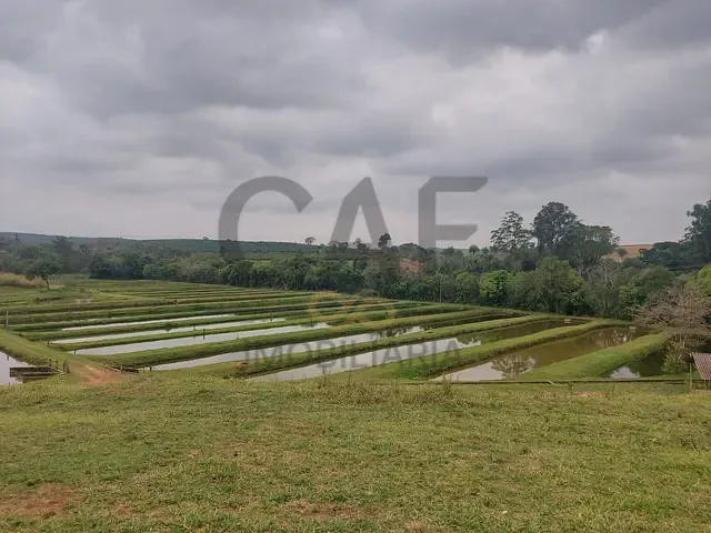 Fazenda com 95400m², à venda, no bairro Lavrinhas em Mogi Mirim