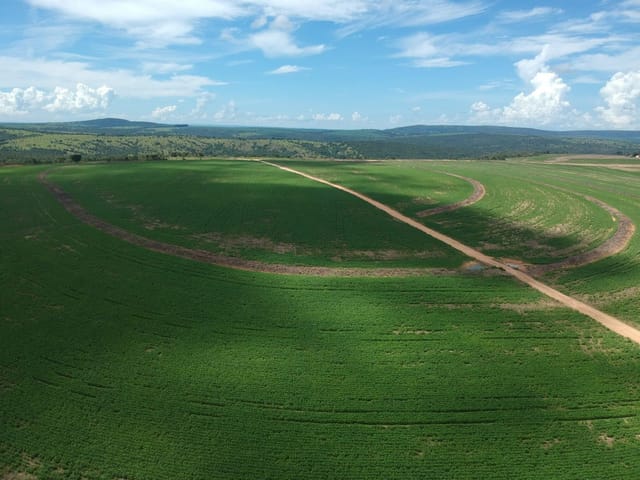 Fazenda com 7405200m² 3 quartos e 2 banheiros, à venda, no bairro Setor Central em Corumbaíba