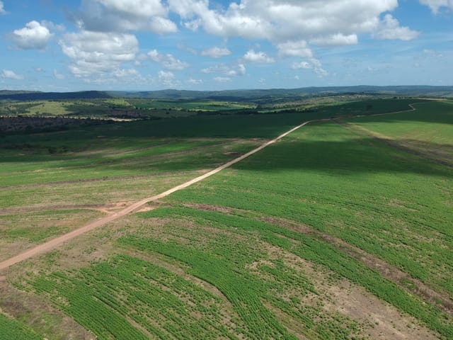 Fazenda com 7405200m² 3 quartos e 2 banheiros, à venda, no bairro Setor Central em Corumbaíba
