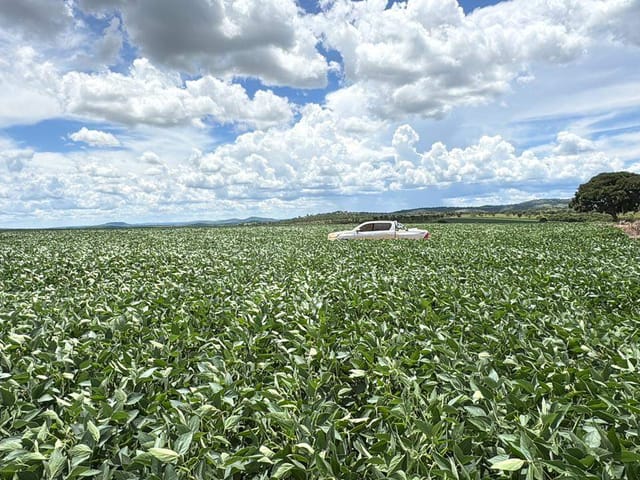 Fazenda com 7405200m² 3 quartos e 2 banheiros, à venda, no bairro Setor Central em Corumbaíba