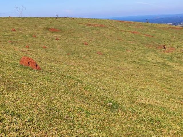 Foto do Fazenda - Fazenda à venda, Área Rural de Pardinho, Pardinho, SP | Imobiliária Natal LTDA