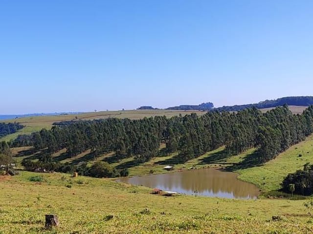 Foto do Fazenda - Fazenda à venda, Área Rural de Pardinho, Pardinho, SP | Imobiliária Natal LTDA
