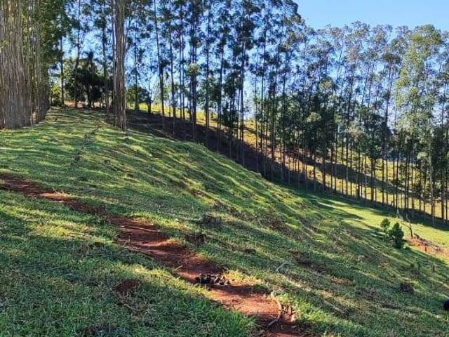 Foto do Fazenda - Fazenda à venda, Área Rural de Pardinho, Pardinho, SP | Imobiliária Natal LTDA