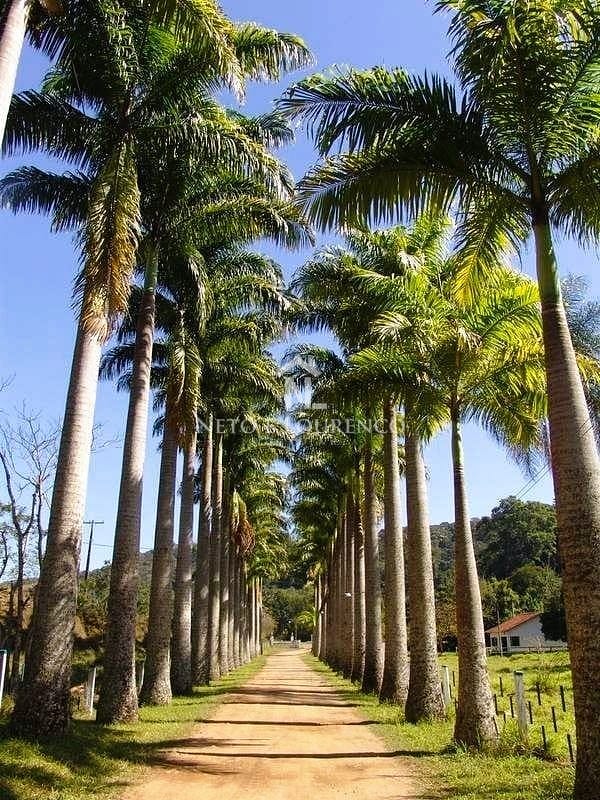 Fazenda à venda com 18 quartos, 10m² - Foto 6