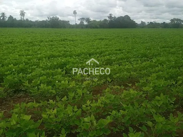 Fazenda com 847000m², à venda, no bairro Zona Rural em Santa Rosa de Viterbo