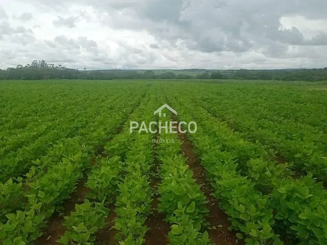 Fazenda com 847000m², à venda, no bairro Zona Rural em Santa Rosa de Viterbo