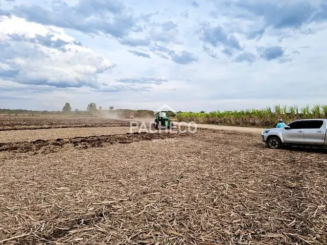 Fazenda com 847000m², à venda, no bairro Zona Rural em Santa Rosa de Viterbo
