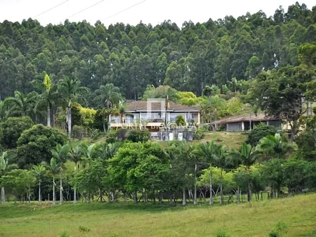Fazenda com 600m² 6 quartos e 8 banheiros, à venda, no bairro Anhumas em Vargem