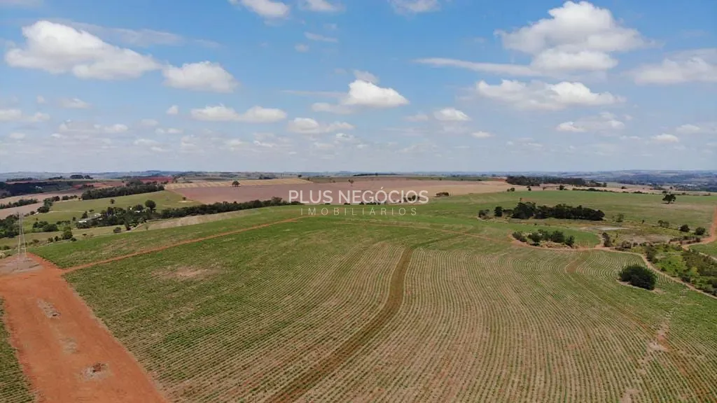 Fazenda, 3090 m² - Foto 7