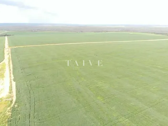 Fazenda com 1450m² 1 quarto e 1 banheiro, à venda, no bairro Michelin em Itiquira