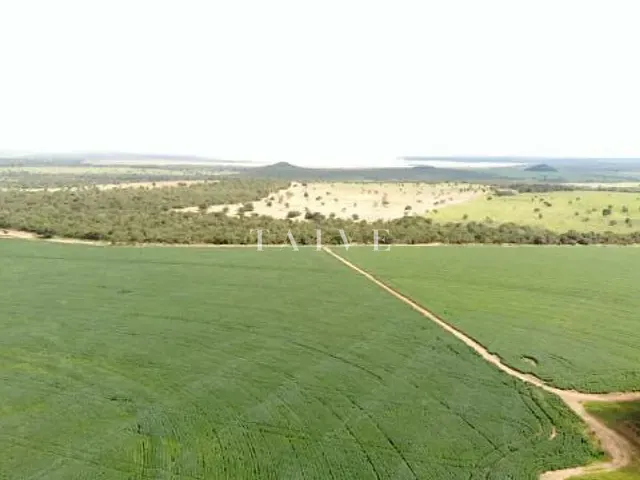 Fazenda com 1450m² 1 quarto e 1 banheiro, à venda, no bairro Michelin em Itiquira