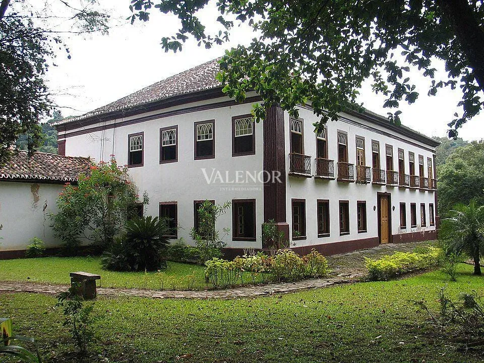 Fazenda, 79 hectares - Foto 19