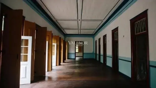 Fazenda, 79 hectares - Foto 8