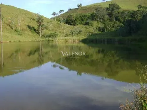 Fazenda, 79 hectares - Foto 12