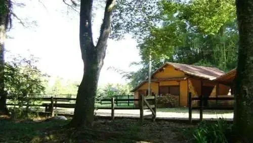 Fazenda, 79 hectares - Foto 15