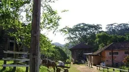 Fazenda, 79 hectares - Foto 21