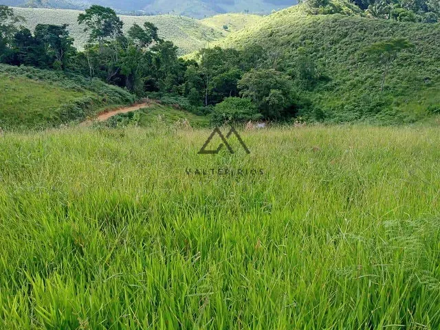 Fazenda com 330000m², à venda, no bairro RURAL em Floresta Azul